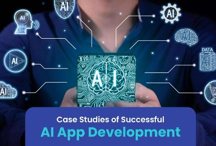 Case Studies: Real-Life Applications of Sissy AI